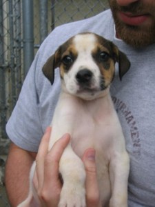 232323232-fp58=ot-232-=3;-=436=XROQDF-232363;86584;ot1lsi