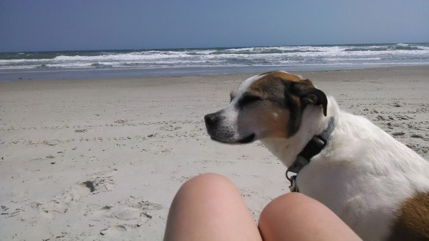 IMG_20140527_151234113